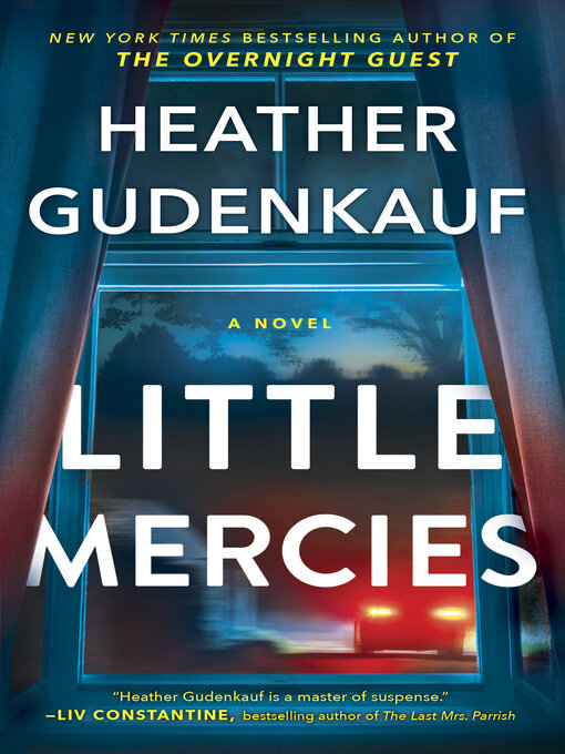 Title details for Little Mercies by Heather Gudenkauf - Available